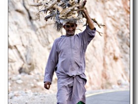 صور من ابداع اعضاء عمان فوتو