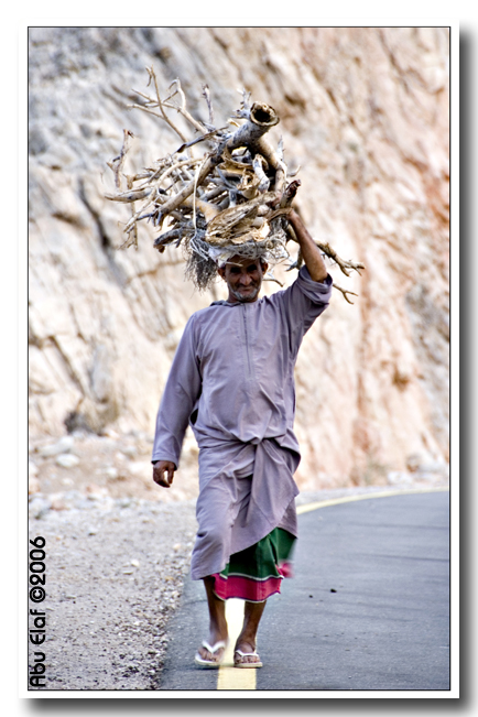 صور من ابداع اعضاء عمان فوتو