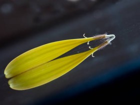 صور منوعة من الإنترنت