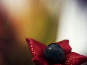 صور منوعة من الإنترنت