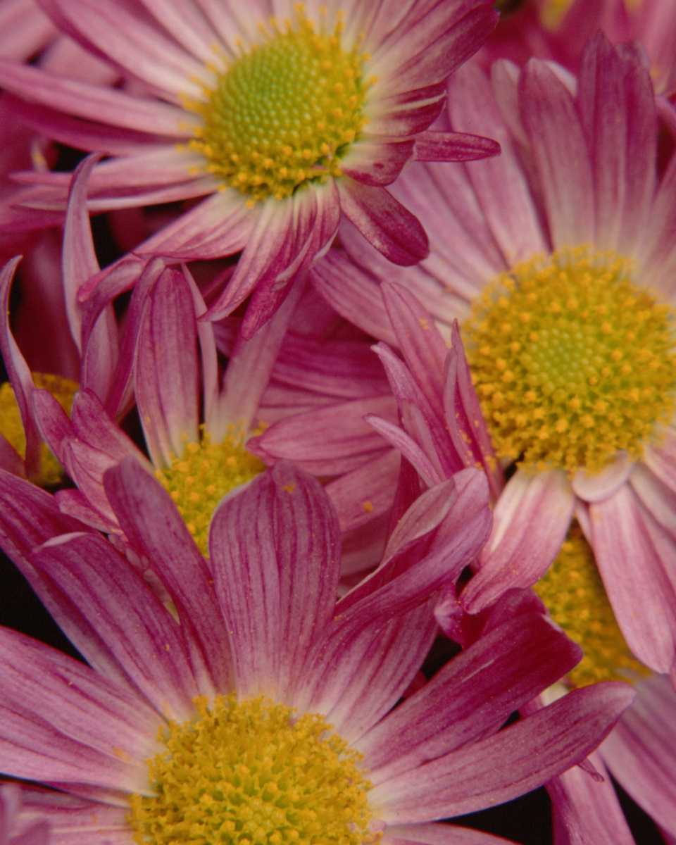 PTBL0053