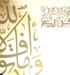 صور من العالم