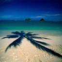 12288_wallpaper280_1_