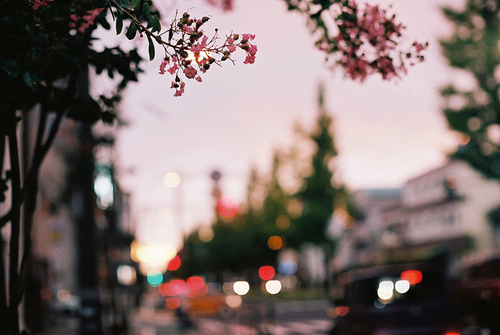 tumblr_lv762jlq0X1qexeifo1_500