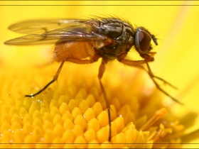 1521629-090fce1a78ae0838_1_