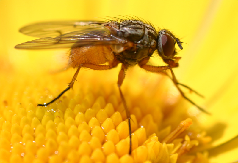 1521629-090fce1a78ae0838_1_