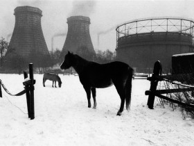 1411637-72b0136c0eb19f7d_1_