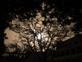 صور من ابداع اعضاء عمان فوتو