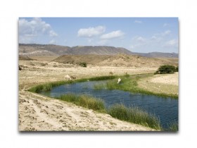 صور من ابداع اعضاء عمان فوتو