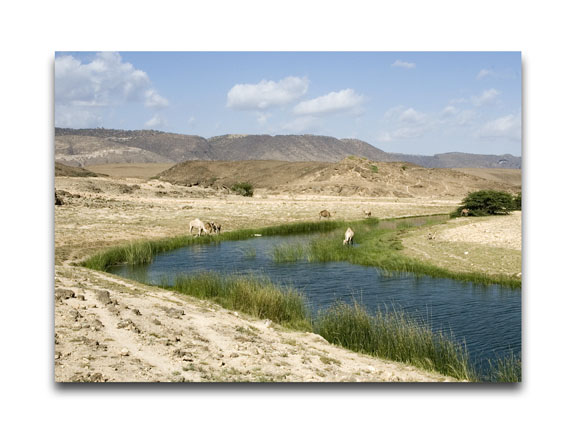 صور من ابداع اعضاء عمان فوتو