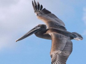 صور منوعة من الإنترنت