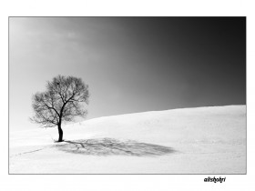 صور منوعة من الإنترنت