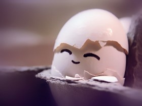 Newborn_Egg_by_Kikariz