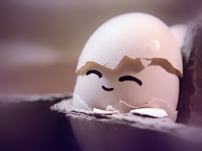 Newborn_Egg_by_Kikariz