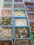 thai-market-ysqo_small