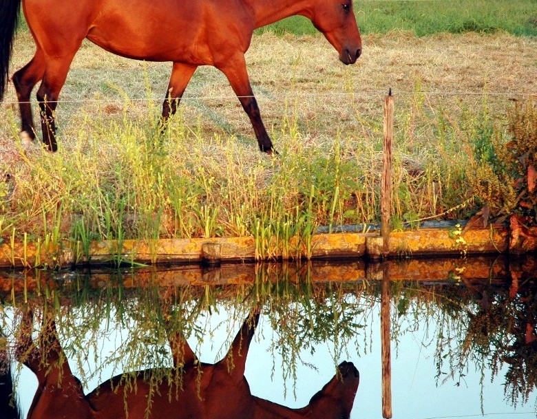 1424154-98df10cdc331b39c_1_