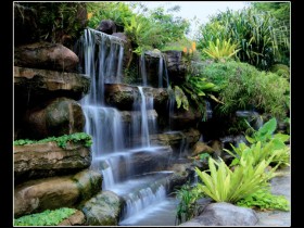 صور من ابداع اعضاء عمان فوتو