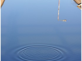 صور منوعة من الإنترنت