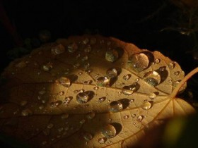 صور منوعة من الإنترنت