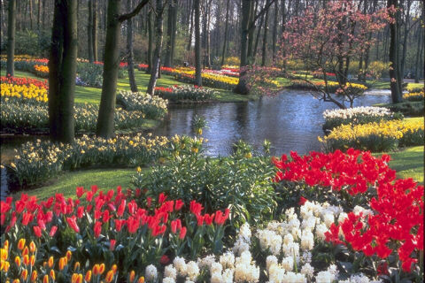 POND