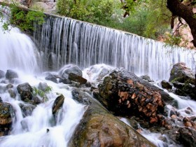 صور من ابداع اعضاء عمان فوتو