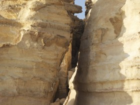 صور من ابداع اعضاء عمان فوتو