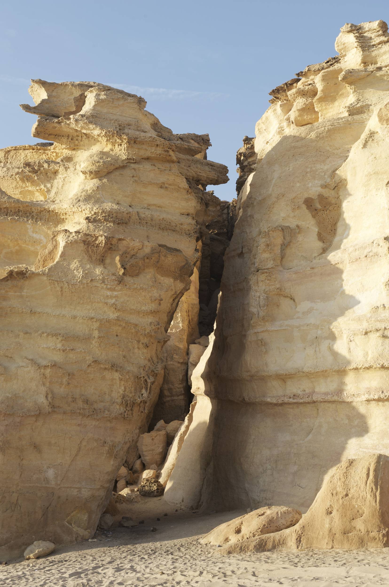 صور من ابداع اعضاء عمان فوتو