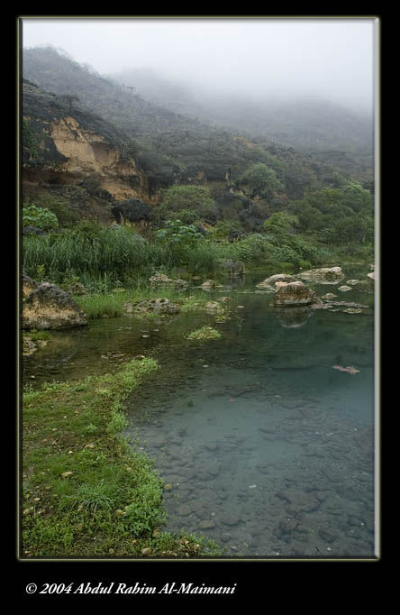 صور من ابداع اعضاء عمان فوتو