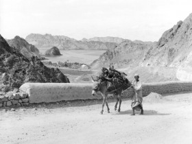 صور من ابداع اعضاء عمان فوتو