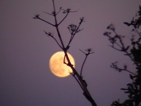 قمر جبل طارق