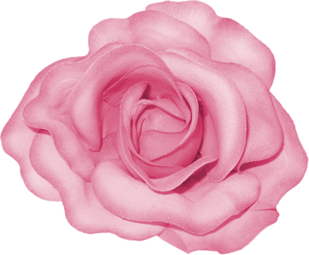 BVS_pink_valentine_bt_flower02