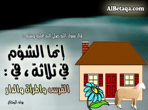 480851_10151285175510493_1264780110_n