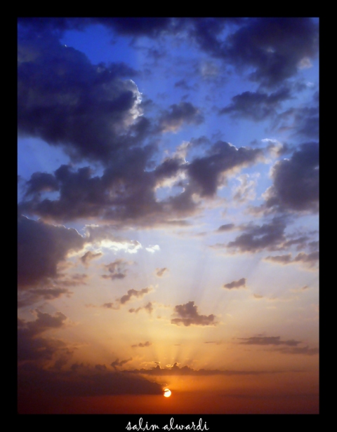 صور من ابداع اعضاء عمان فوتو