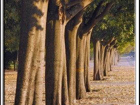 صور من ابداع اعضاء عمان فوتو