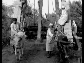 صور من ابداع اعضاء عمان فوتو