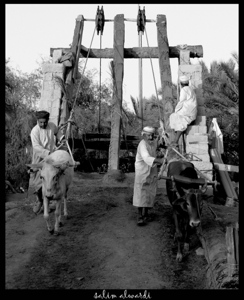 صور من ابداع اعضاء عمان فوتو