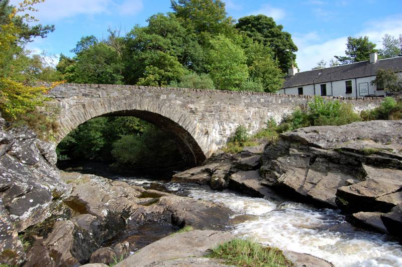 صور منوعة من الإنترنت