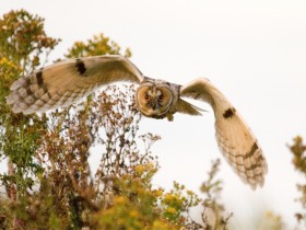 صور منوعة من الإنترنت