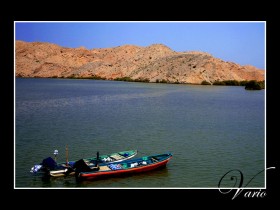 صور من ابداع اعضاء عمان فوتو
