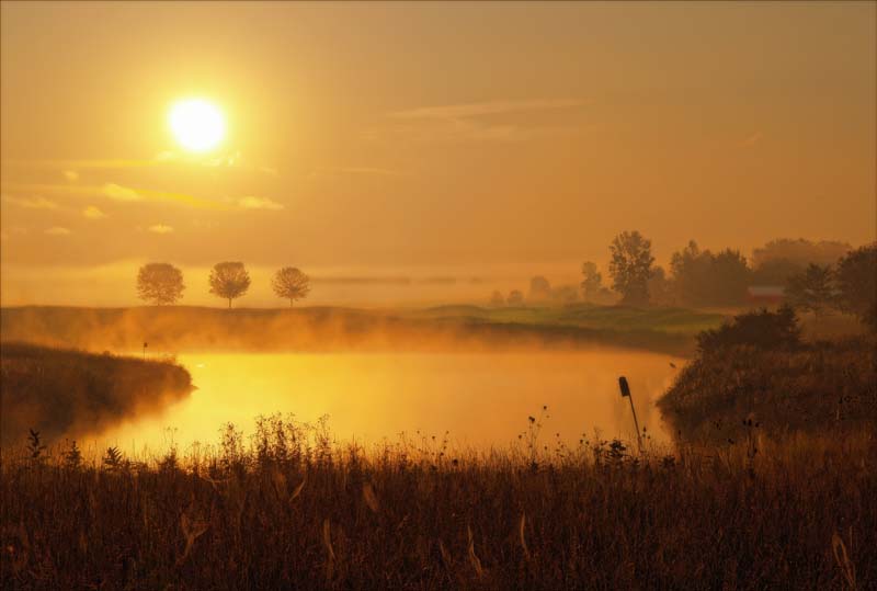 صور منوعة من الإنترنت