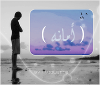 cd43c75728fu7