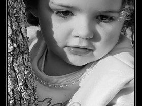 brooketree_1_