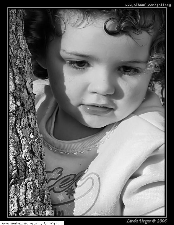 brooketree_1_