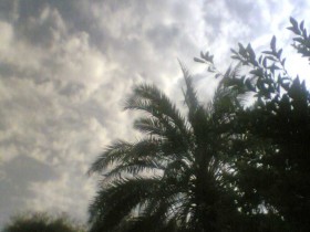صور من ابداع اعضاء عمان فوتو