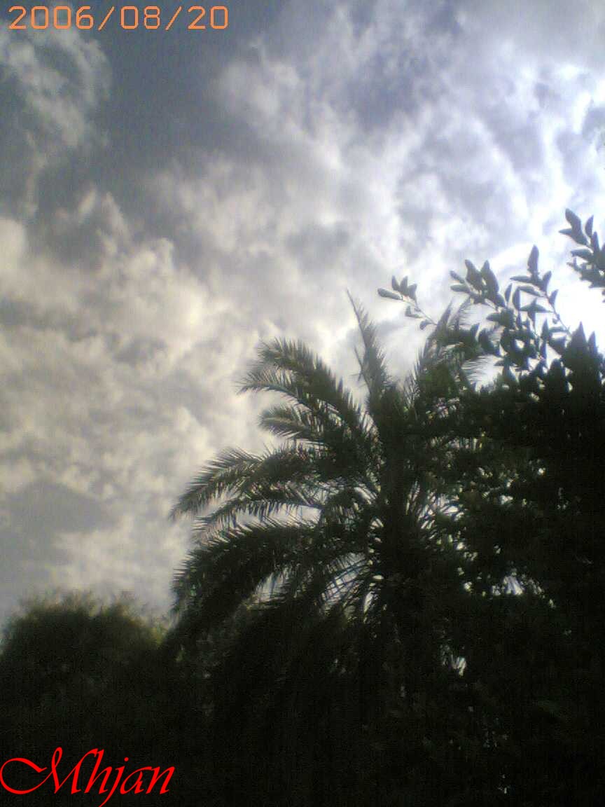صور من ابداع اعضاء عمان فوتو