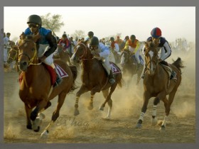 صور من ابداع اعضاء عمان فوتو