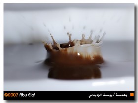 صور من ابداع اعضاء عمان فوتو
