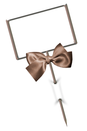 BVS_beautiful_pinframe