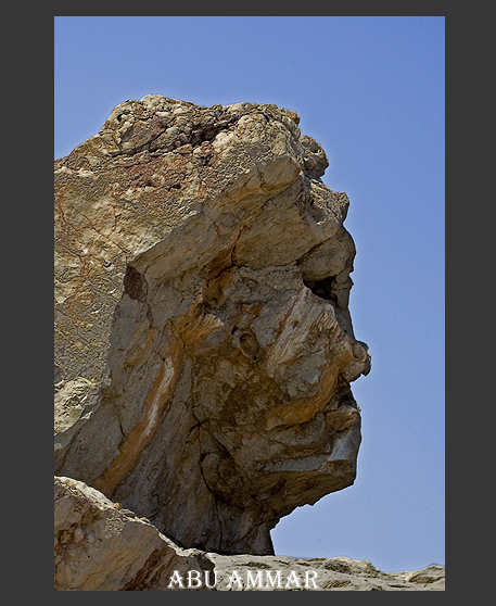 صور من ابداع اعضاء عمان فوتو