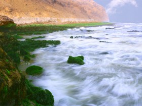 صور من ابداع اعضاء عمان فوتو